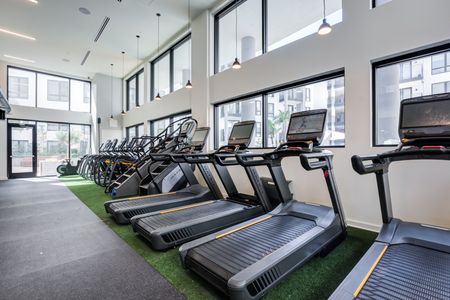 Community gym with cardio equipment along a wall with large windows looking out at the community