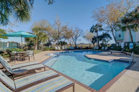 Sparkling Pool Views