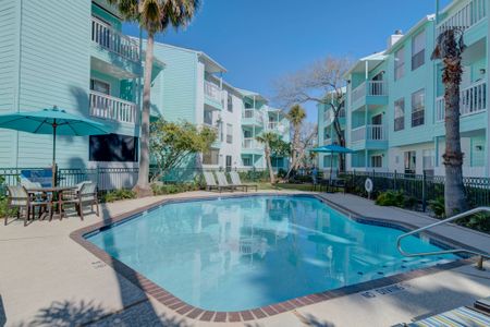 Sparkling Pool Views