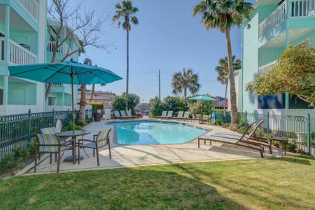 Sparkling Pool Views