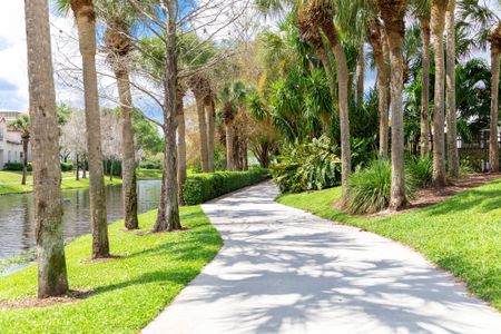 The grounds at our apartments in Palm Beach Gardens, featuring a path along the water and palm trees.