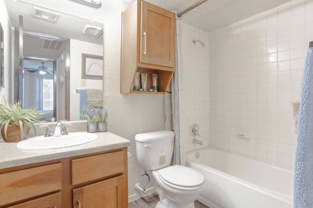 Spacious Bathroom