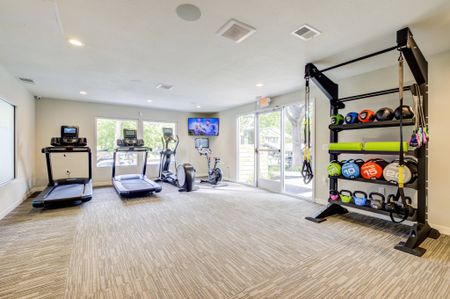 Avana Vista Point fitness center gym with 2 treadmills, 1 stair machine, 1 bike and TRX system with weights