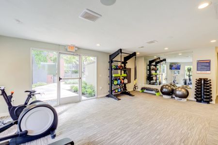 avana Vista Point fitness center gym with TRX, free weights, stability balls and open floor for stretching