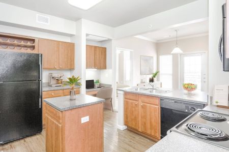 Modern Kitchen