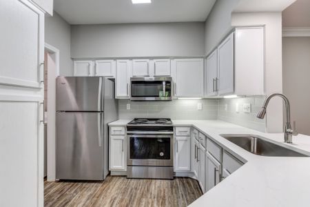 Renovated Kitchen