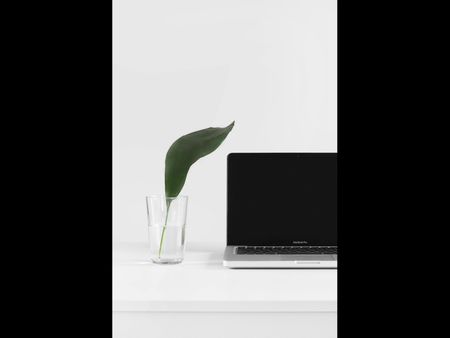 Lap top and glass with leaf in it