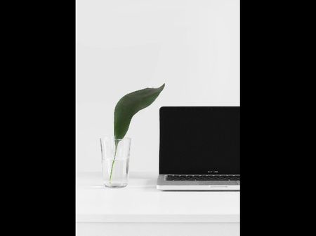 Lap top and glass with leaf in it