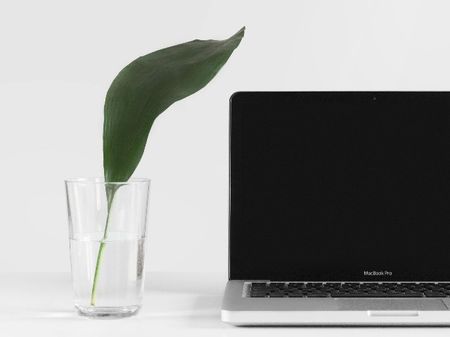 Computer sitting next to a plant in a glass of water.