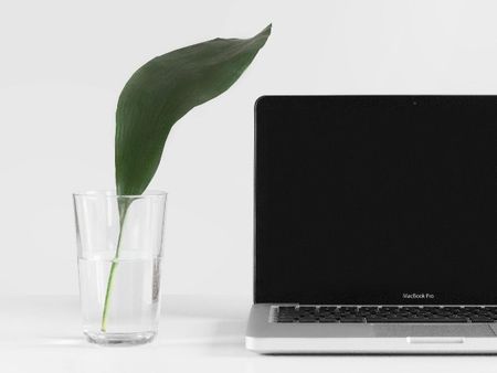 Computer sitting next to a plant in a glass of water.