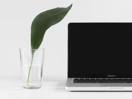 A laptop computer next to a glass of water with a leaf in it, against a white backdrop. The computer screen is black.