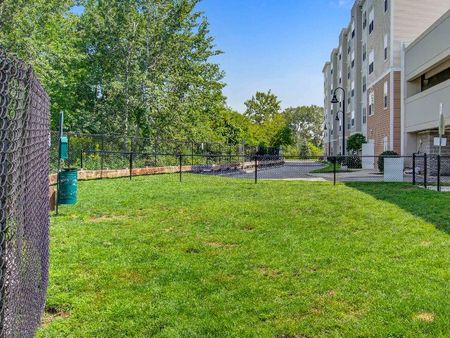 Photograph of the dog park at our apartments in Wakefield, featuring a fence, grassy area, and a dog bag dispenser.