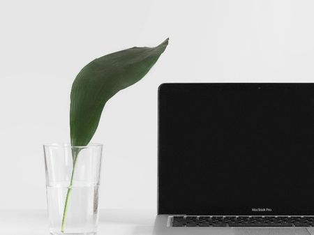 Leaf in glass beside laptop