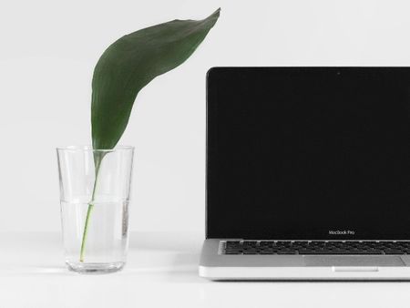 Leaf in glass beside laptop