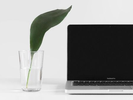 Leaf in glass beside laptop