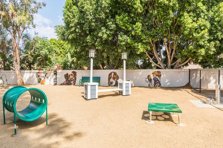 Dog park