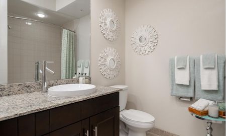 Model bathroom at our apartments in Delray Beach, featuring granite countertops and wood laminate cupboards.