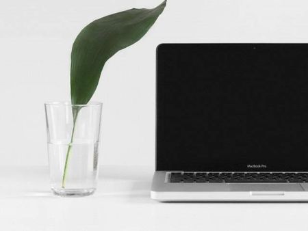 Stock photograph of a leaf in a glass of water next to a computer. The background is white and the computer is black.Stock photograph of a leaf in a glass of water next to a computer. The background is white and the computer is black.