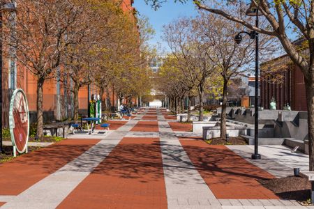Walking path and plaza near our apartments in Washington DC, featuring a brick walkway lined with trees and benches.