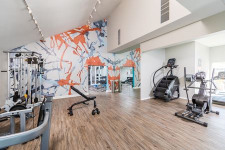 Fitness Center Equipment