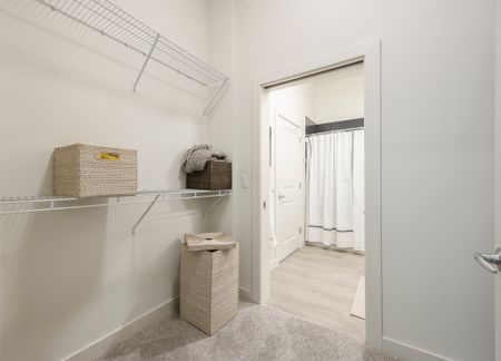 Model walk-in closet at our apartments in Watertown, featuring carpeted flooring and a view of the bathroom.