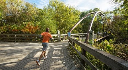 Photograph of someone running across a wooden foot bridge in the woods. The person is wearing athletic attire.Someone running across a footbridge at our apartments for rent in WAtertown, MA, featuring trees on either side,