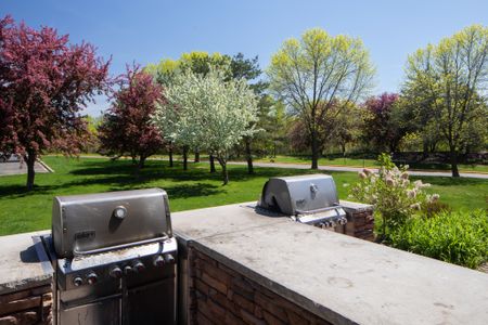 Outdoor Grilling area
