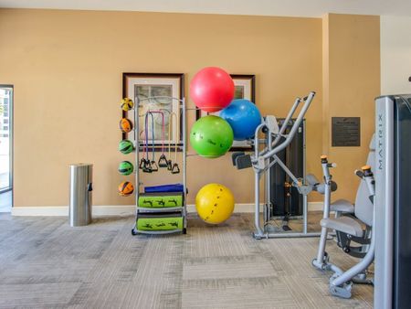 Boca Raton apartment gym with exercise machines and exercise balls.