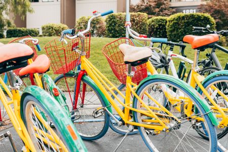 bikes
