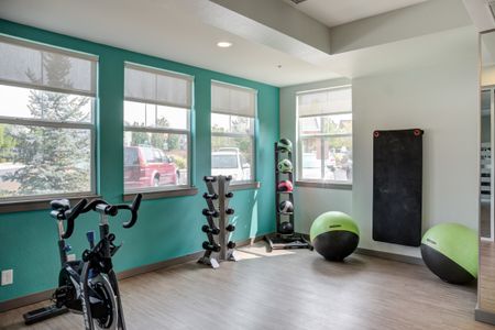 Avia Lowry's fitness center equipped with exercise machines and weights.
