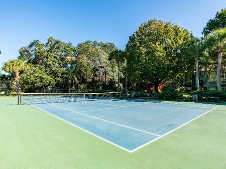 Community tennis court with surrounding trees.