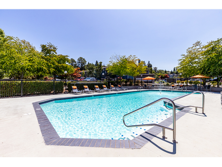 Sparkling Pool