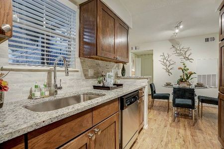 Luxurious Kitchen