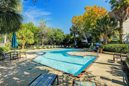 RESORT-STYLE POOL
