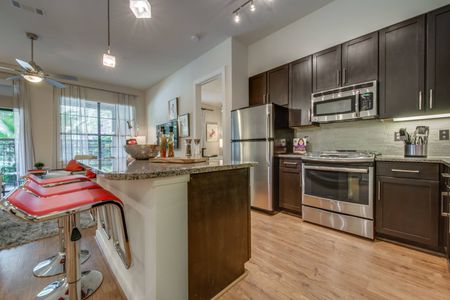 Modern Kitchen