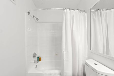 Shower and bathtub in an apartment near Dunedin, FL.