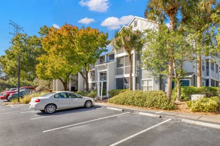 Photograph of the exterior of the Avana City Park apartment complex, featuring a parking lot and palm trees.