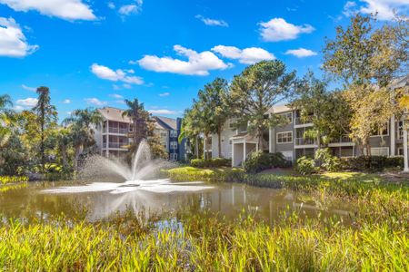Photograph of our apartments in Clearwater, taken from the lagoon near the apartment complex. There is a fountain in the water.