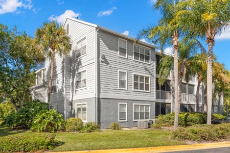 Photograph of the exterior of our apartments in Clearwater, featuring grey siding, palm trees, and the street.