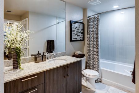 A luxury Miami apartment bathroom with granite countertops and wooden cabinetry.