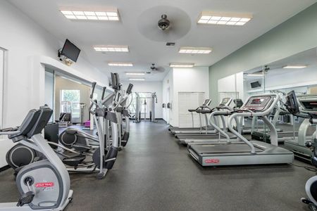 Treadmills and exercise equipment in a Palm Beach apartment gym.