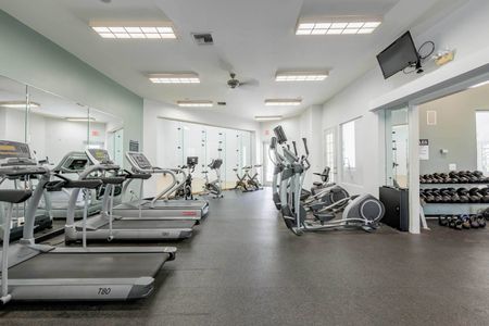 The fitness center at our apartments in Palm Beach, featuring treadmills, spin bikes, and other exercise equipment.