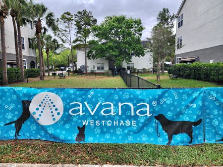 Community dog park at Avana Westchase Apartments in Tampa, Florida.