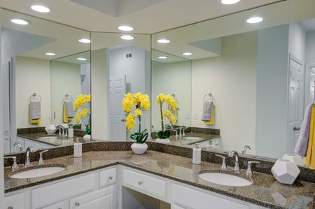 Spacious Bathroom and Vanity Spaces