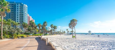The beach and promenade near our apartments for rent in Clearwater, FL, featuring palm trees and high rises.