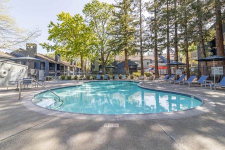 Avana Vista Point main outdoor pool with sun bather lounge chairs and umbrellas