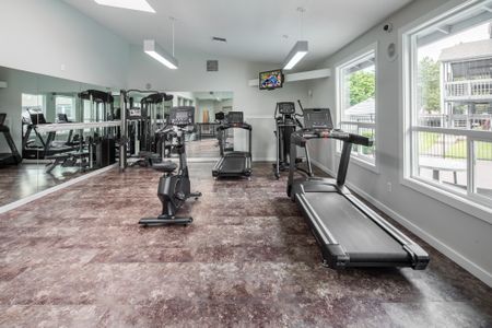 Treadmill and Gym Equipment