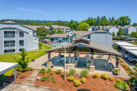 Aerial shot of outdoor kitchen