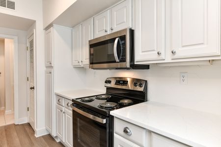 Platinum renovated kitchen