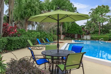 Pool area at our apartments in Clearwater, FL, featuring reclining chairs, palm trees, and a long pool.
